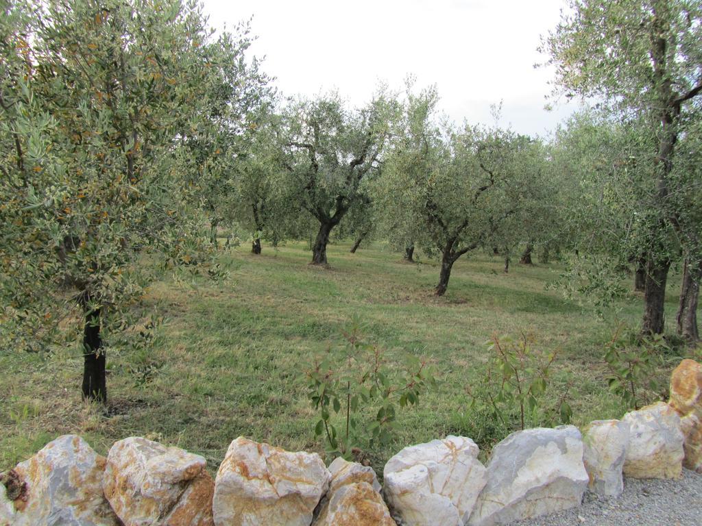 Agriturismo Borghetto Il Montino Rapolano Terme Bagian luar foto
