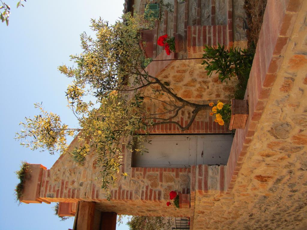 Agriturismo Borghetto Il Montino Rapolano Terme Bagian luar foto