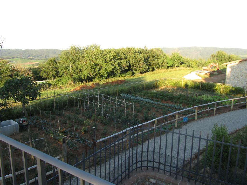 Agriturismo Borghetto Il Montino Rapolano Terme Bagian luar foto