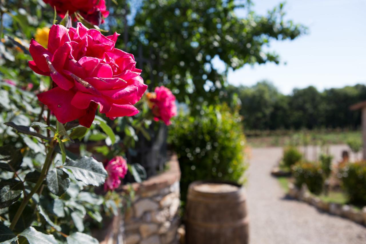 Agriturismo Borghetto Il Montino Rapolano Terme Bagian luar foto