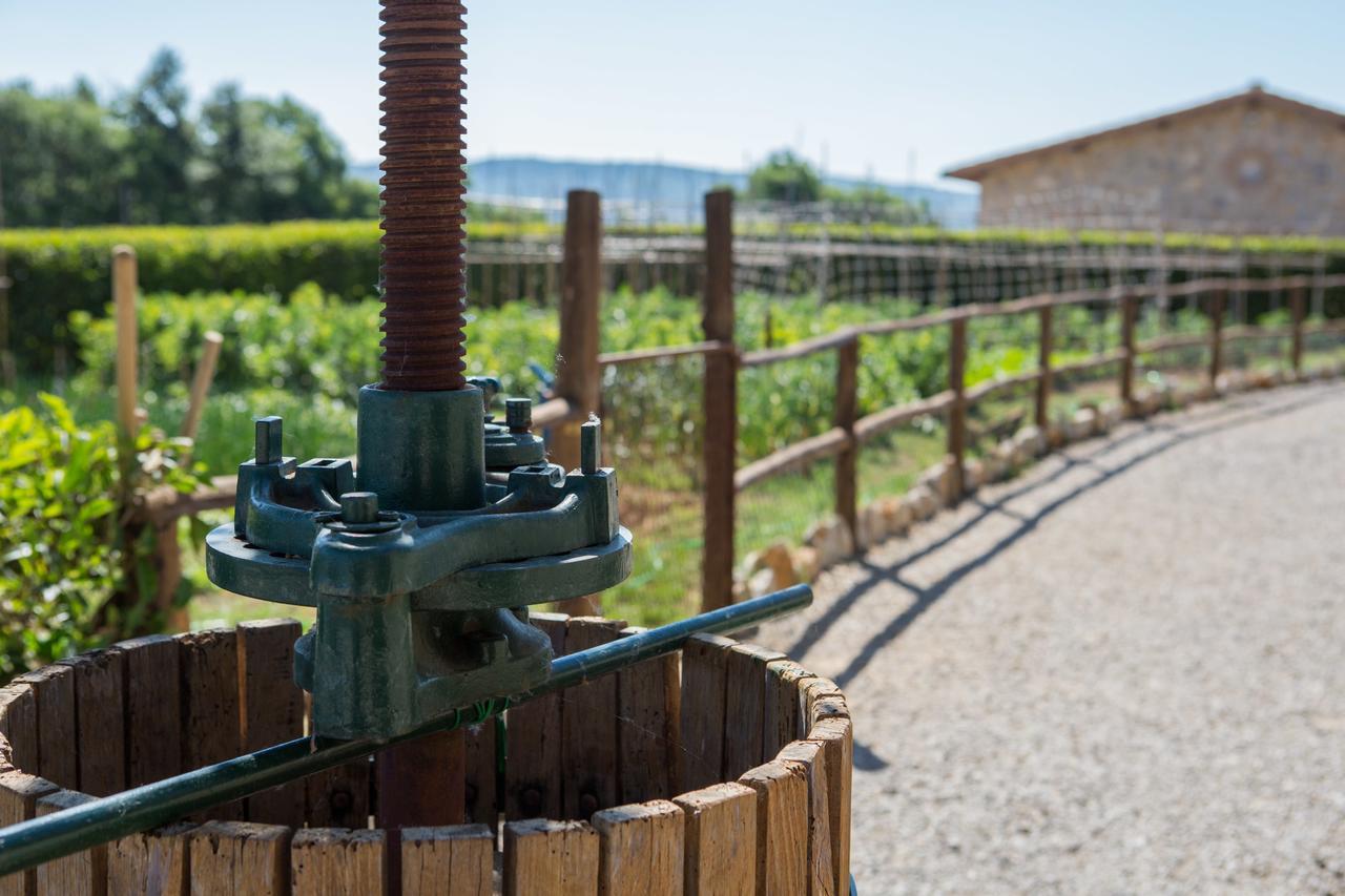 Agriturismo Borghetto Il Montino Rapolano Terme Bagian luar foto