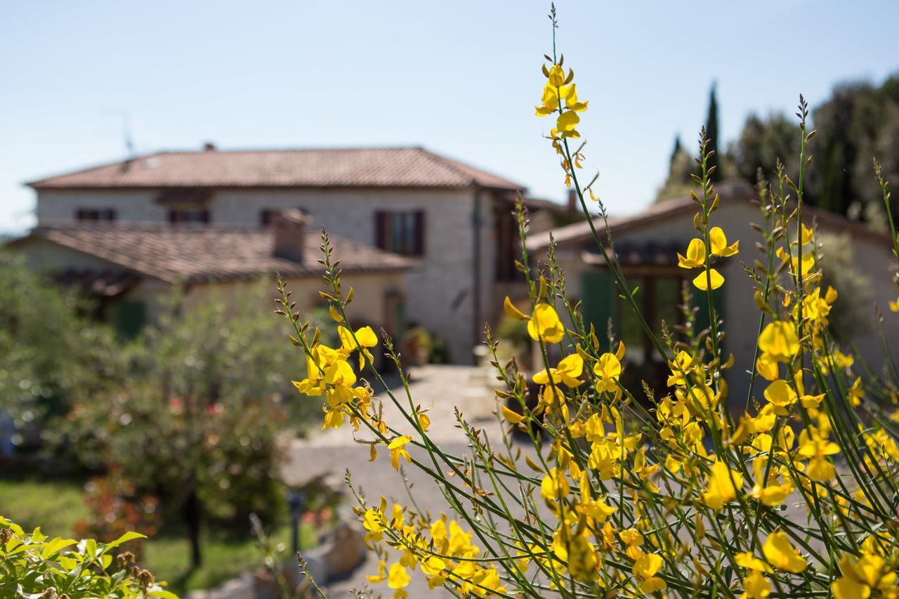 Agriturismo Borghetto Il Montino Rapolano Terme Bagian luar foto